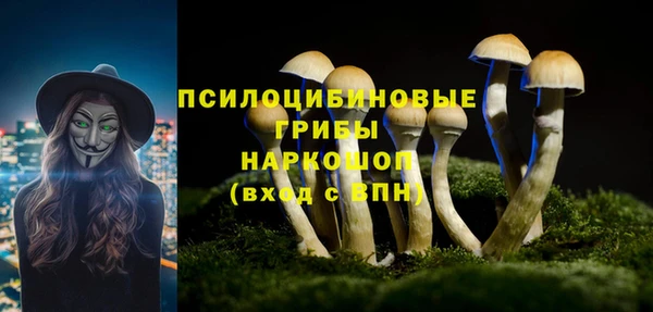 прущая мука Вязьма