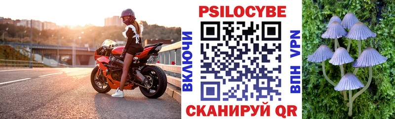 Псилоцибиновые грибы Magic Shrooms  Купить  Лагань 
